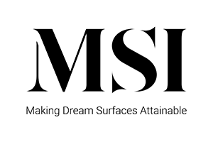 logo-msi-2